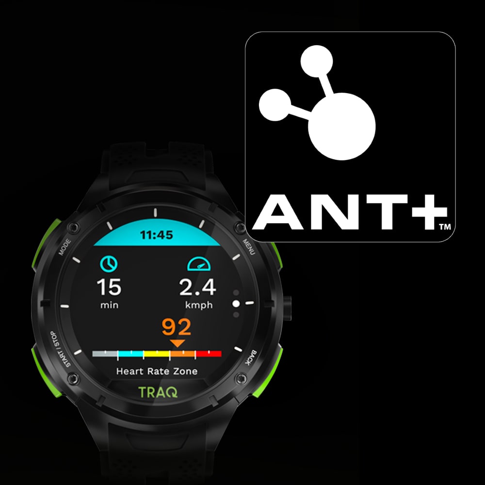 FITVII GT2 SmartWatch ECG with Heart Rate Blood Pressure Monitor – fitvii
